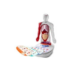 Canal Science Mi Cuerpo Voz Pedia 3D