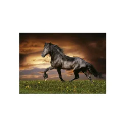 Educa Puzzle 1000 Piezas Caballo a Trote - 19555