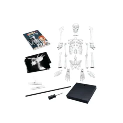 Esqueleto 85 cm