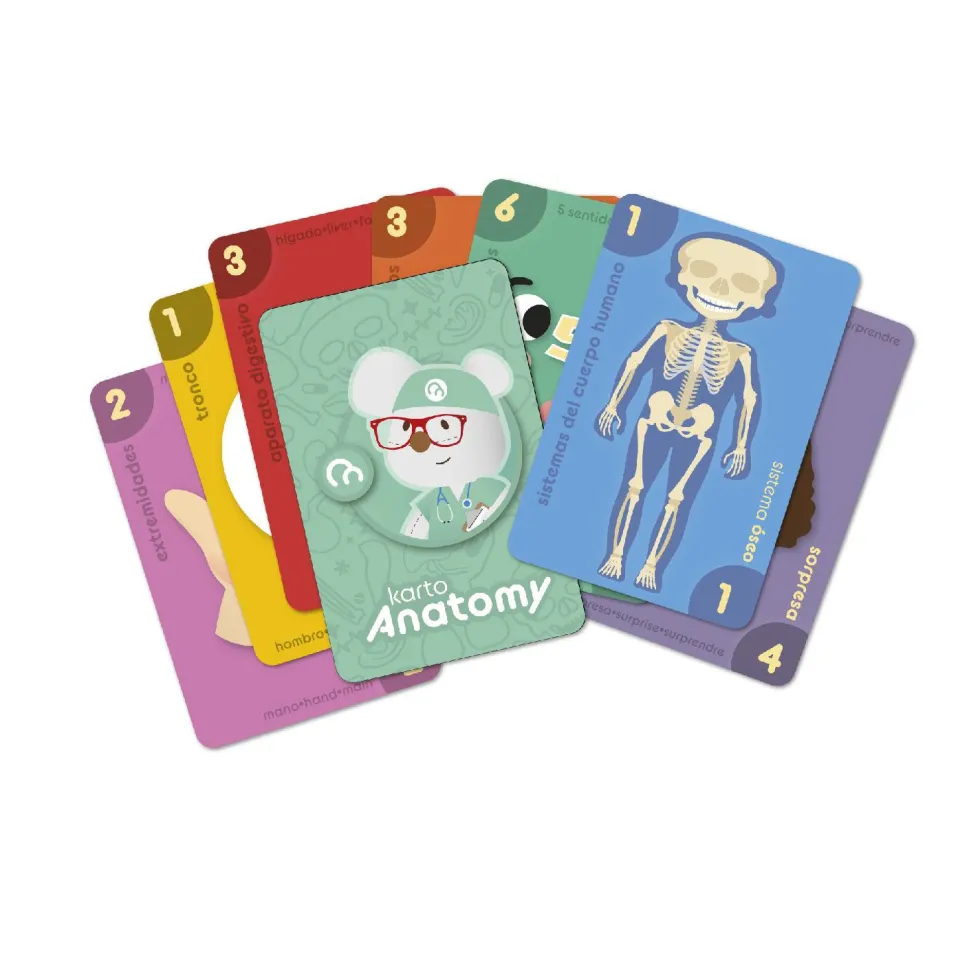 Imaginarium Karto-Anatomy