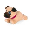 Mascottas Mi Cachorrito