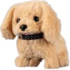 Mascottas Peluquería Canina