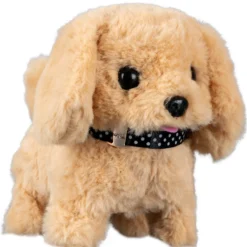 Mascottas Peluquería Canina