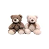 Peluche Oso con Lazo 23 cm Varios Modelos