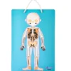 Scientific Tools Aprendo el Cuerpo Humano Magnético