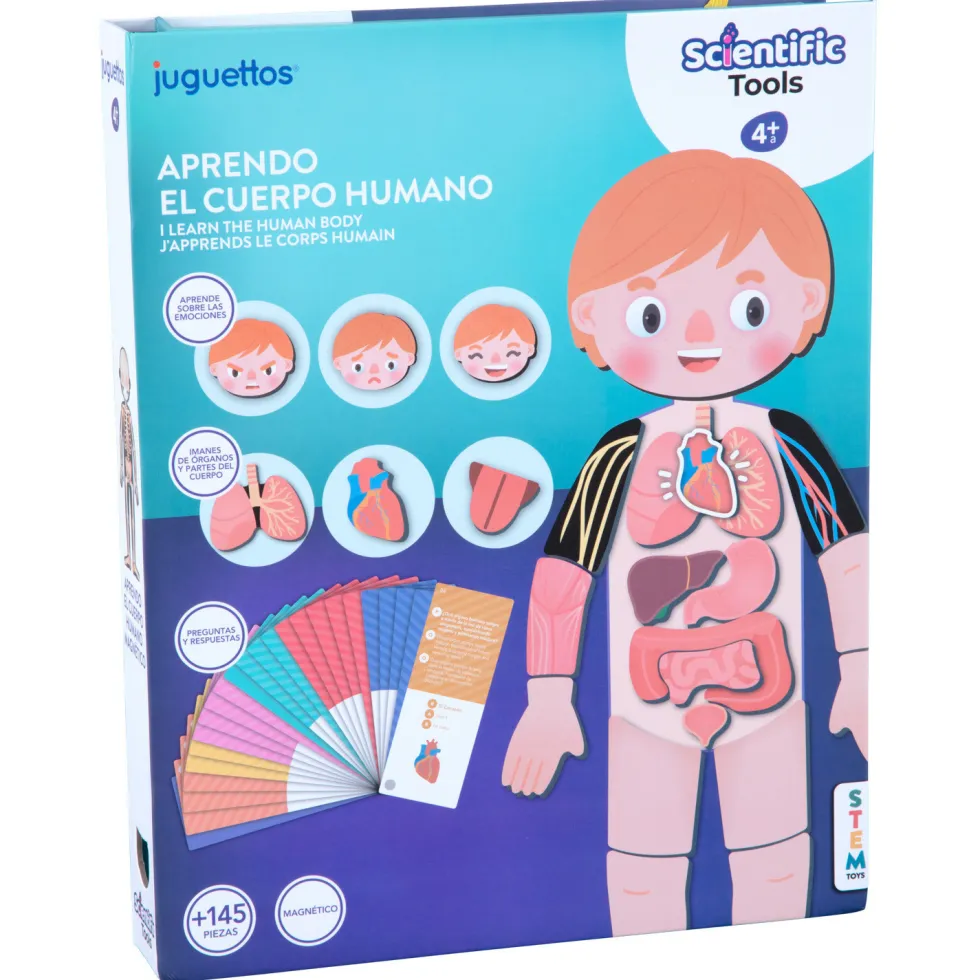 Scientific Tools Aprendo el Cuerpo Humano Magnético