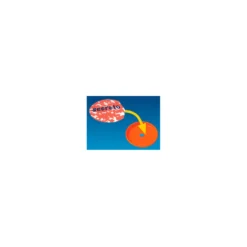 Scientific Tools Equipo Agente Secreto